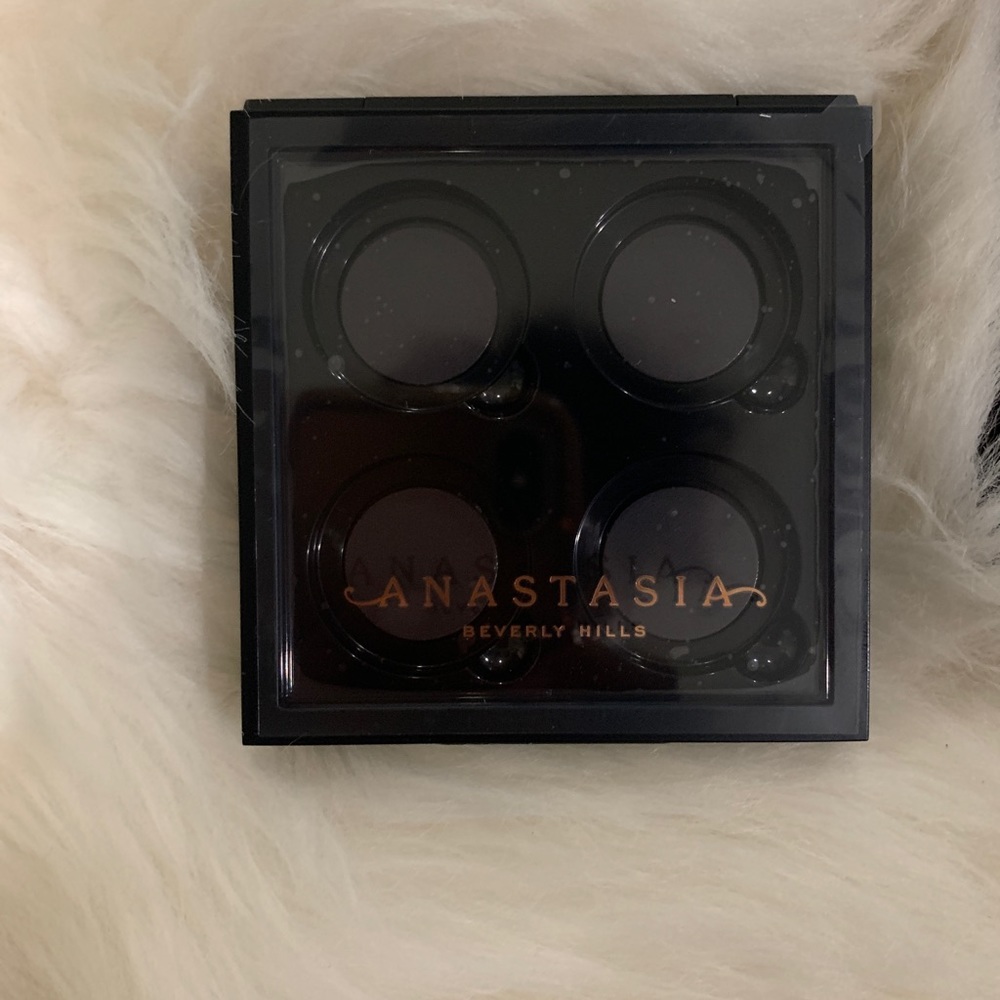 Anastasia Beverly Hill empty eyeshadow palette. It can hold 4 eyeshadows.